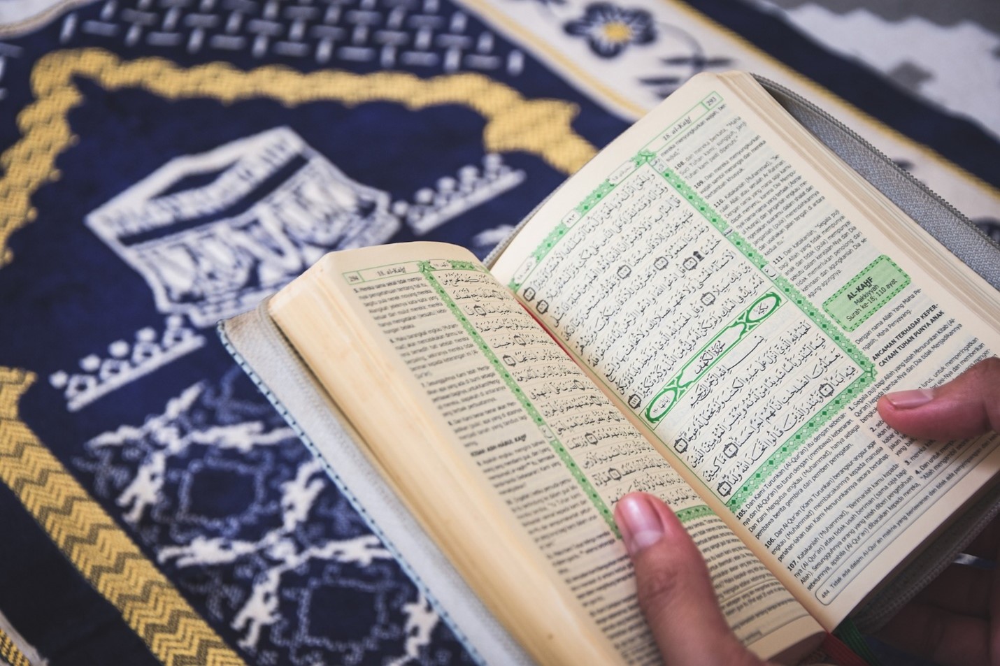 How to Learn Quran with Tajweed for Beginners Online