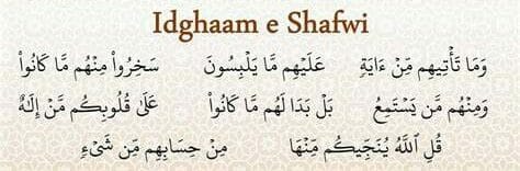 Idgham Shafawi examples